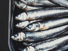 孔雀的故事；乌鸦和孔雀的故事