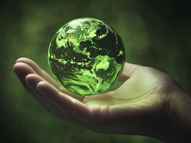 关于环保的名言和名人故事，关于环保的名言和名人故事简短