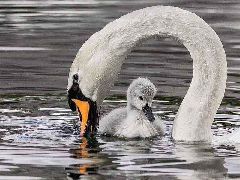 关于小丑的文案;关于小丑的文案长篇 关于小丑的文案;关于小丑的文案长篇