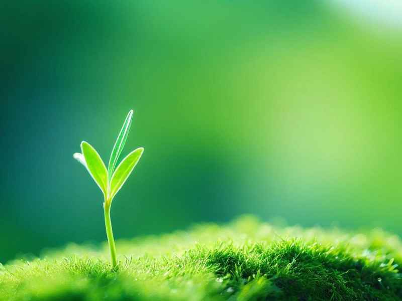 个人成就故事 - 个人成就故事大学生职业生涯规划