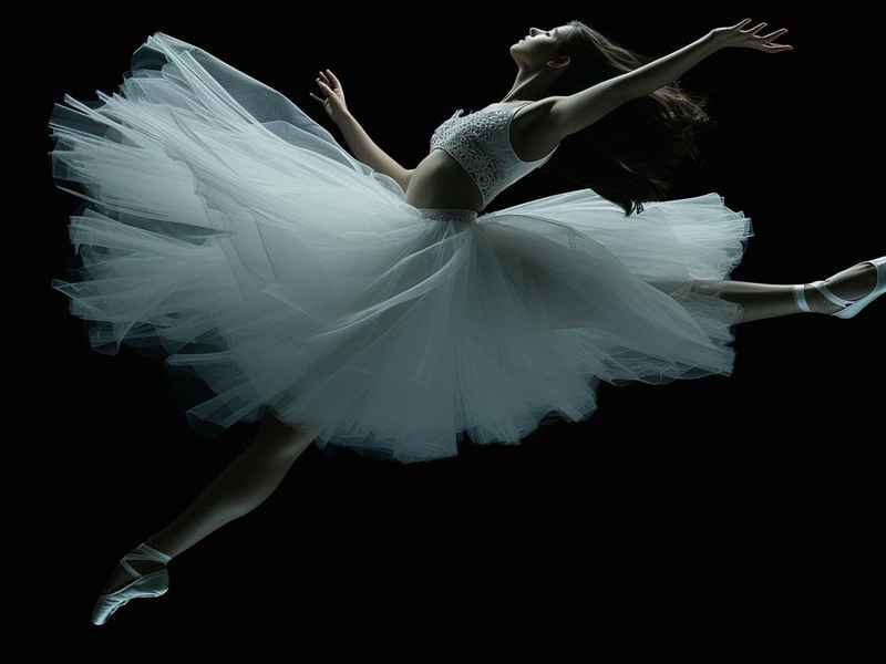 关于跳舞故事（关于跳舞故事的作文）