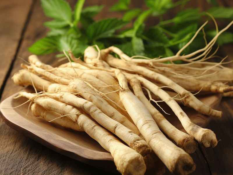 人参儿童可以喝吗、人参儿童可以喝吗一天几次