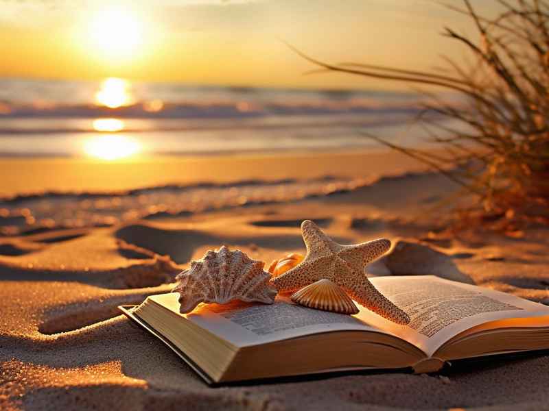 沙滩上的故事怎么写（沙滩上的故事怎么写作文）