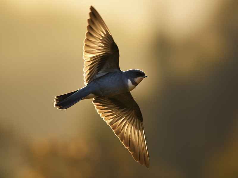 普飞的儿童故事 - 普飞飞的详细个人资料