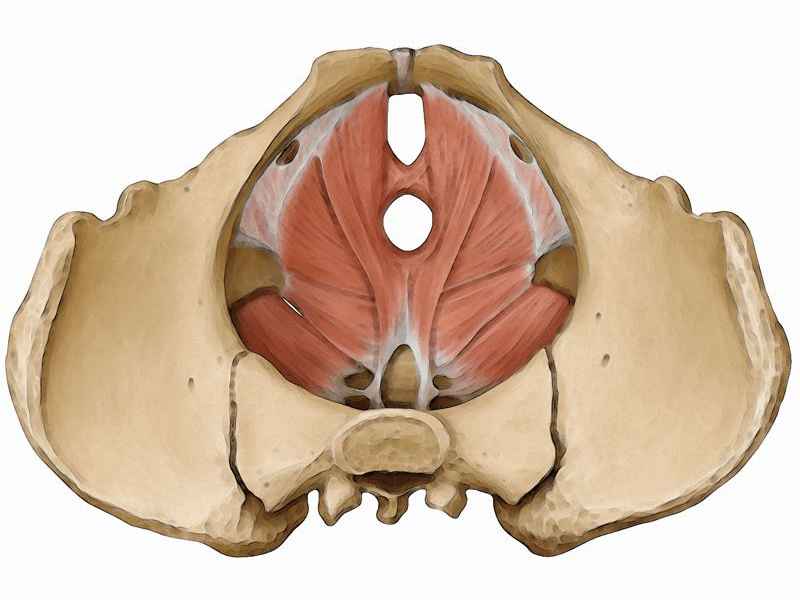 歌中的故事；歌中的故事,故事中的歌 广东 电台 林晓溪