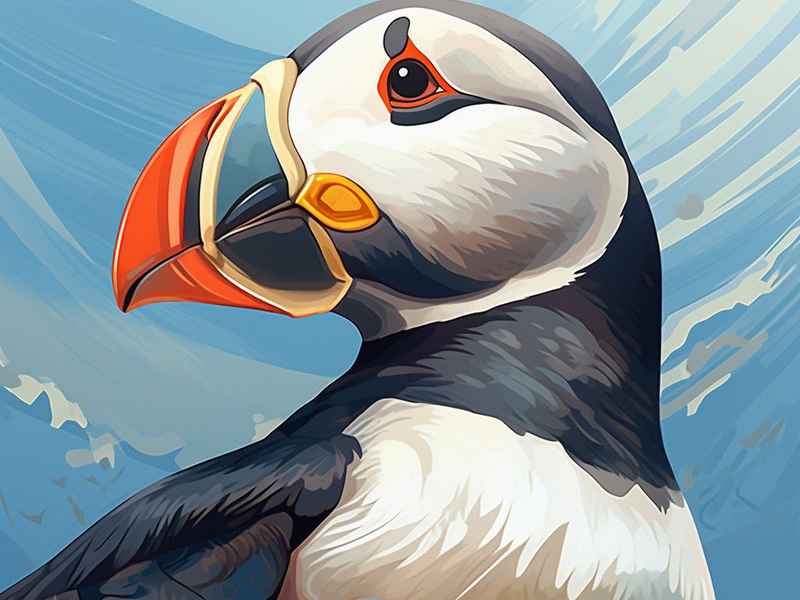 海盗故事书 - 关于海盗的故事书