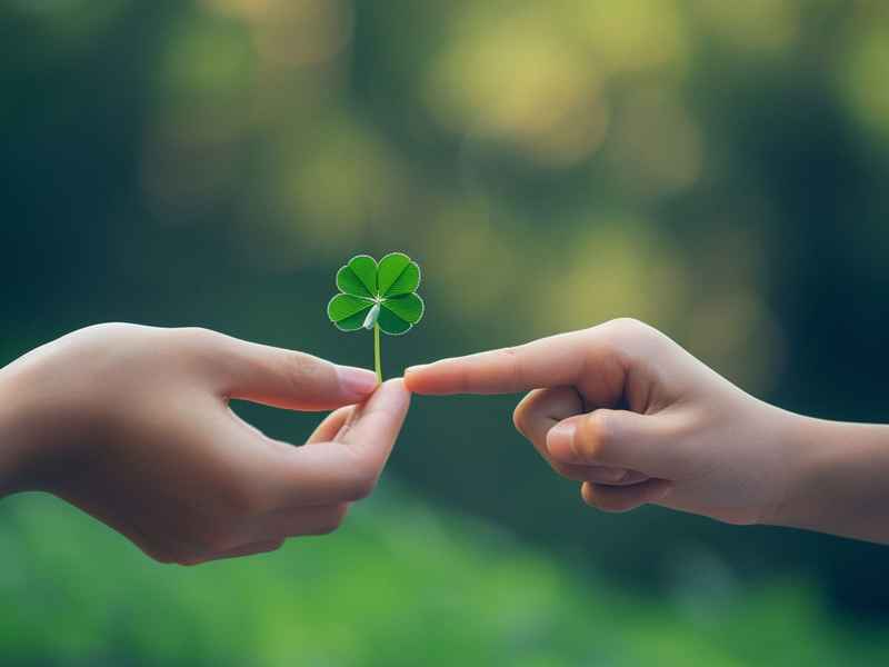 互帮互助的近义词 互帮互助的近义词有哪些