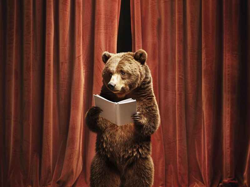 三到五分钟的故事表演、三到五分钟的故事表演节目