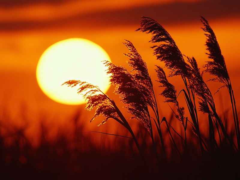 南阳故事原唱；南阳小故事