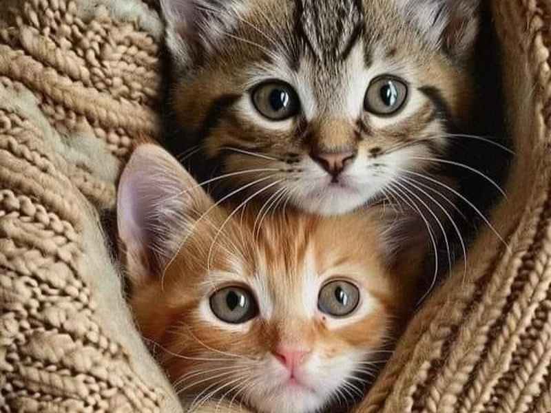 来个钢铁侠故事 - 来个钢铁侠故事在线听