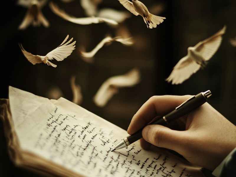 关于鹦鹉的诗句，关于鹦鹉的诗句(33句)