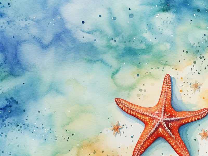 关于海星的绘本故事（关于海星的绘本故事有哪些）
