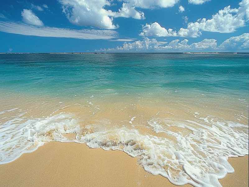 海边小故事、海边小故事100字