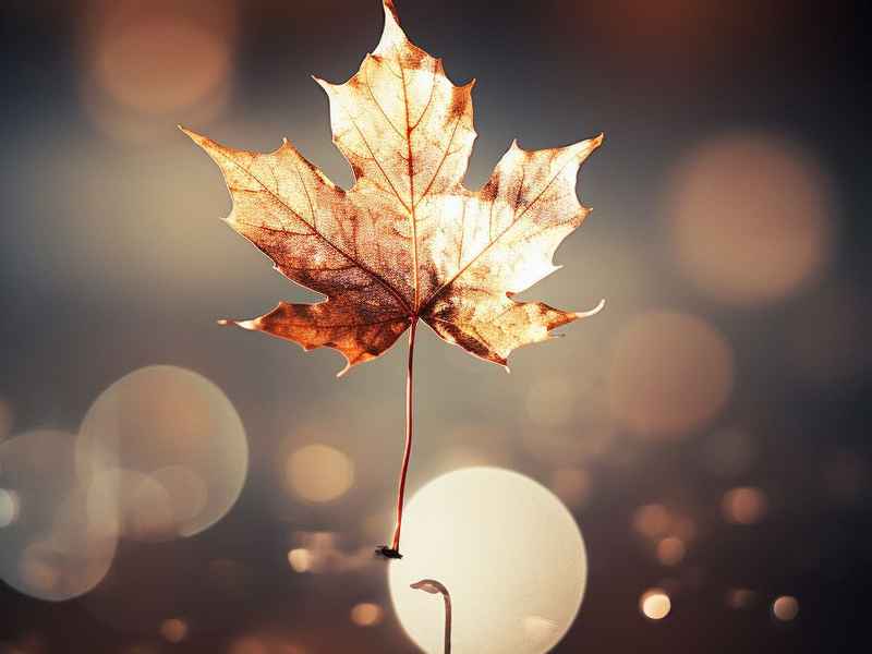 擎天柱睡前故事 擎天柱睡前故事大全