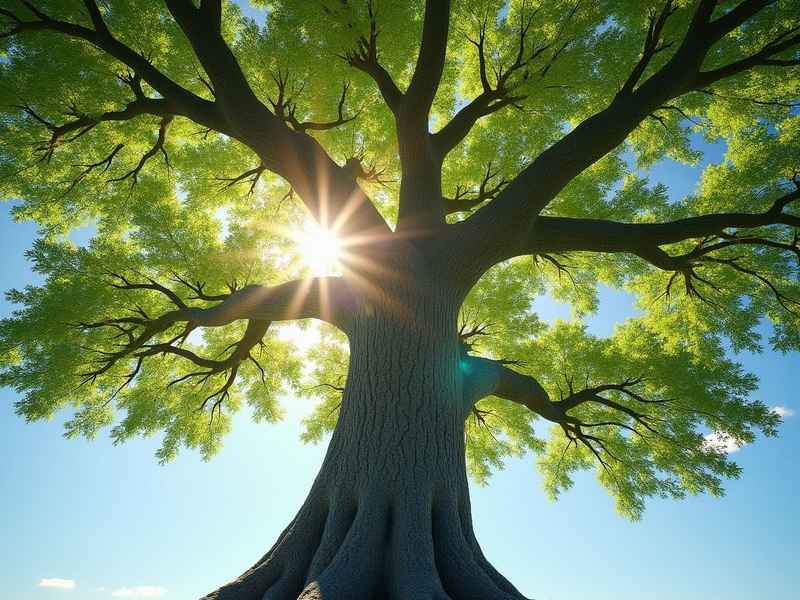 会说话的大树童话作文；会说话的大树童话作文怎么写