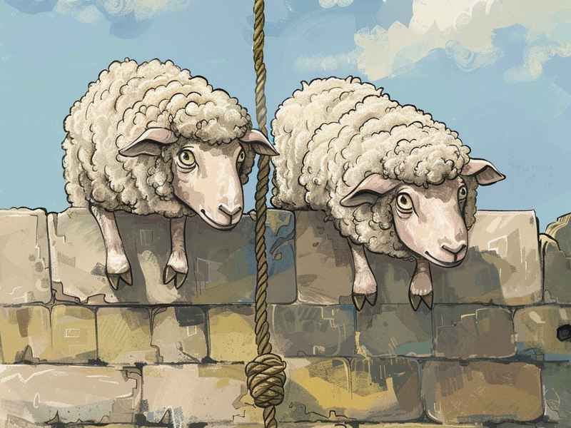 根据亡羊补牢的故事写作文、根据亡羊补牢的故事写作文三年级