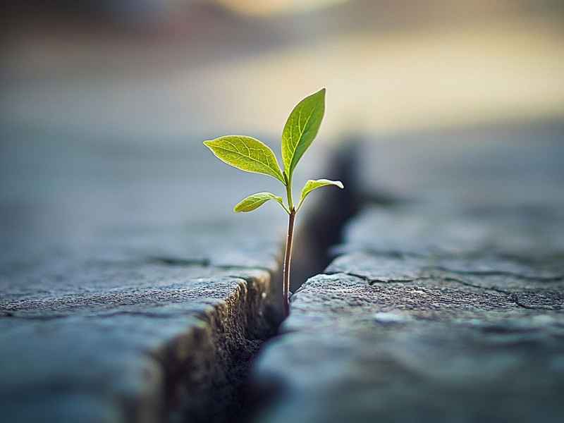 励志故事正能量小故事儿童 经典励志小故事大全 正能量故事