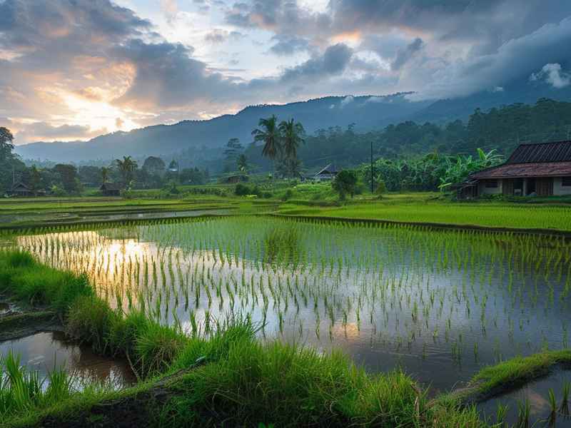 关于原始农耕的故事 - 关于原始农耕的故事和传说 关于原始农耕的故事 - 关于原始农耕的故事和传说