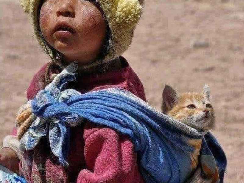 感人小故事看完哭了（感人小故事看完哭了的视频）