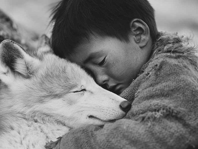 狼孩儿童故事完整版、狼孩的故事视频真人版