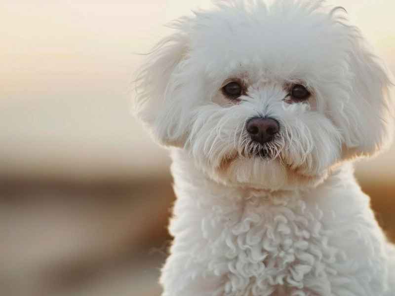 夸奖小朋友故事说得好；夸奖小朋友故事说得好怎么说