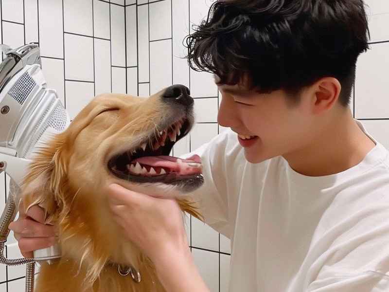 搞笑故事笑得肚子疼 搞笑故事笑得肚子疼沙雕版