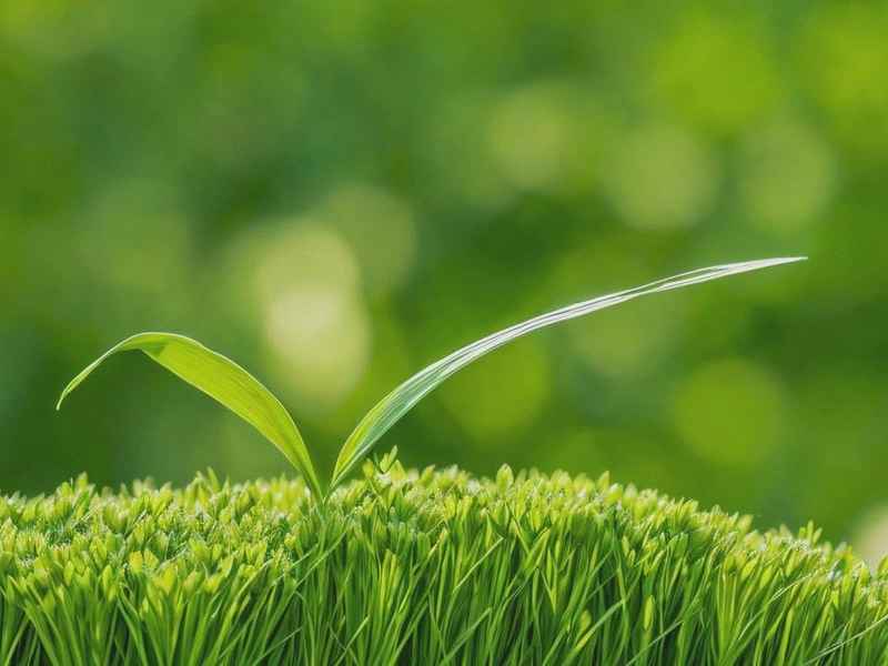 关于健康的精辟句子 关于健康的精辟句子7个字的 关于健康的精辟句子 关于健康的精辟句子7个字的