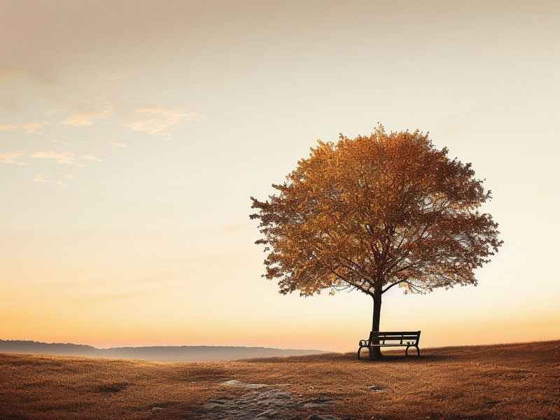 灰姑娘故事免费收听 - 灰姑娘故事免费收听全集