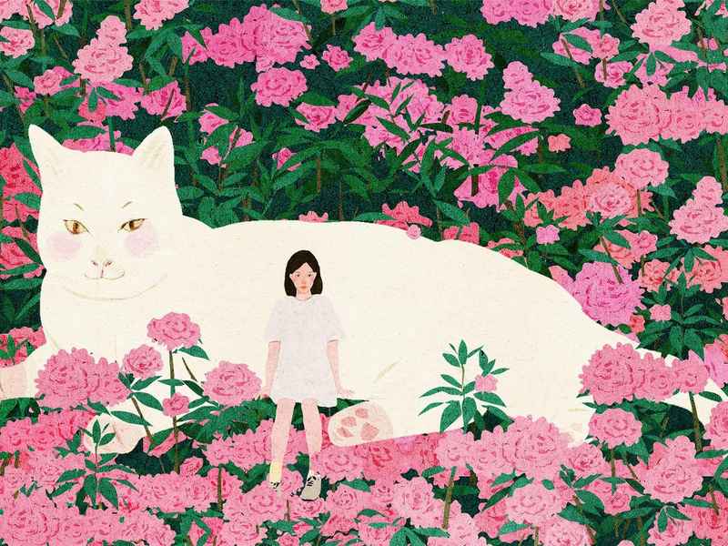 关于刺猬的儿童故事 - 关于刺猬的温暖小故事 关于刺猬的儿童故事 - 关于刺猬的温暖小故事