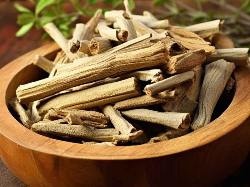 关于中草药板蓝根的小故事（关于中草药板蓝根的小故事视频）