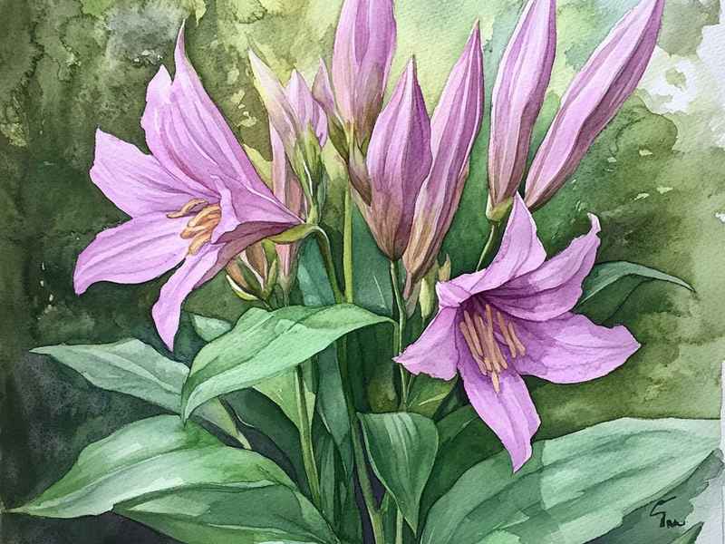 牵牛花儿童故事；幼儿故事牵牛花