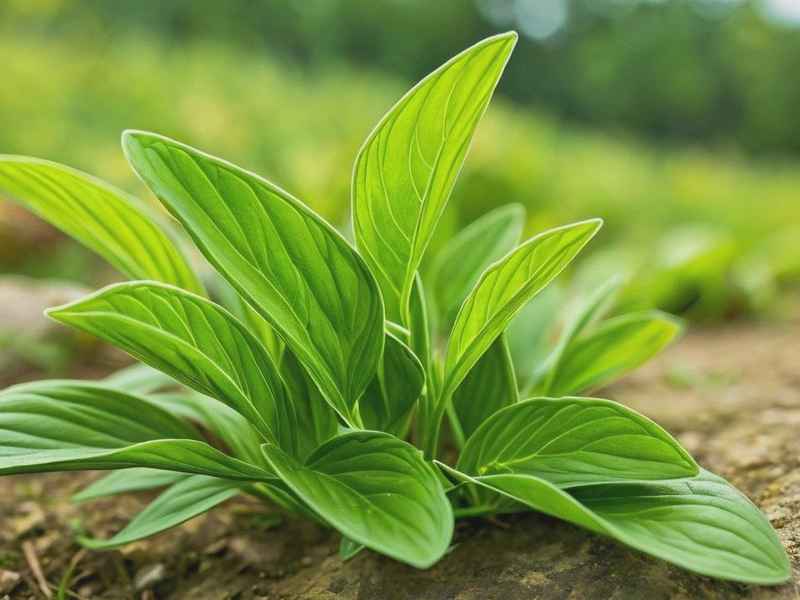 关于沂蒙精神简短故事三分钟;关于沂蒙精神简短故事三分钟演讲稿 关于沂蒙精神简短故事三分钟;关于沂蒙精神简短故事三分钟演讲稿