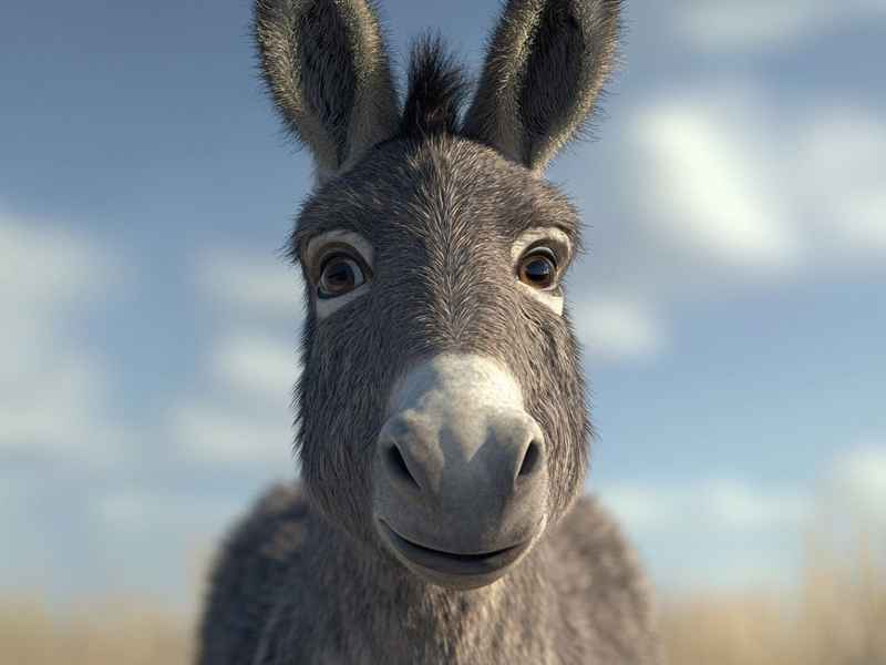 三只小鸭子的故事文字；三只小鸭子的故事文字版