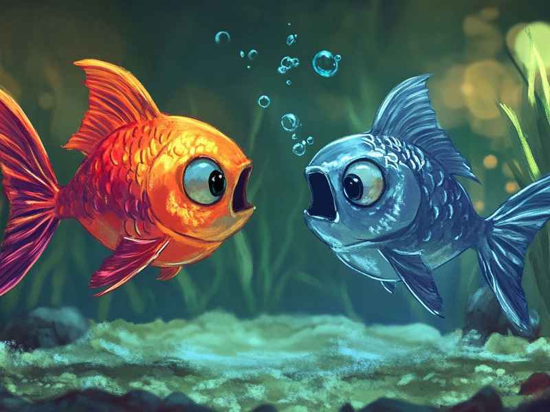 关于猫和鱼的故事；关于猫和鱼的故事有哪些