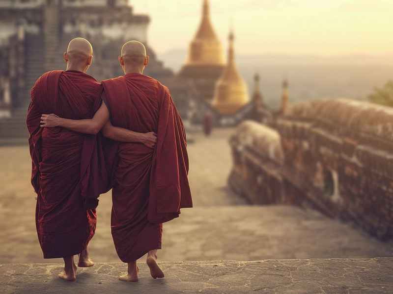 婆婆和柚子的故事 - 婆婆和柚子的故事作文