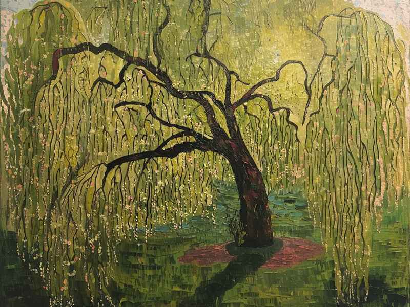 柳树的故事作文；柳树的故事作文600字左右