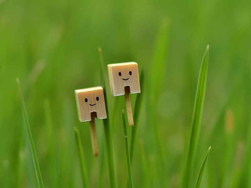 三年级灰姑娘的故事；三年级灰姑娘的故事好句摘抄