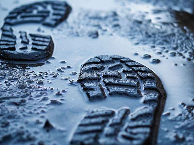 脚步的故事 脚步的故事什么
