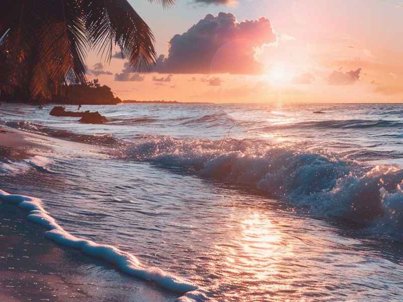 灰姑娘睡前故事大全在线听（灰姑娘睡前故事大全在线听免费）