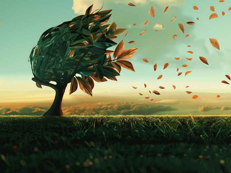 关于风扇的创意广告语 - 关于风扇的创意广告语怎么写