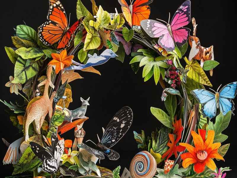 故事立体书制作教程（故事立体书制作教程视频）