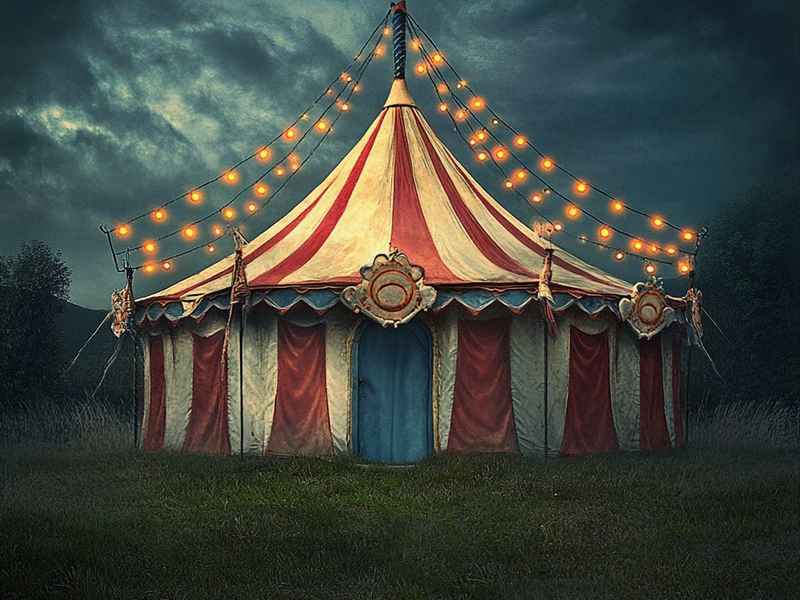 怪胎马戏团睡前故事（怪胎马戏团睡前故事大全）