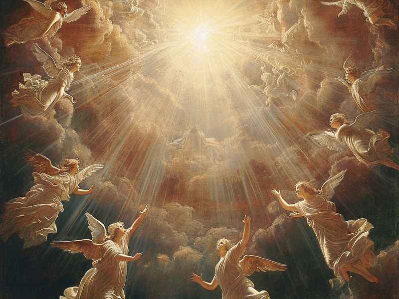 六只天鹅的故事原文；六只天鹅的故事原文阅读