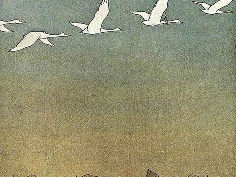 六只天鹅的故事（六只天鹅的故事读后感）