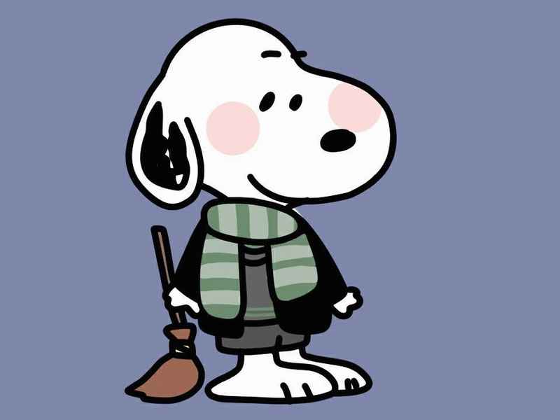 来个蜘蛛侠故事、来个蜘蛛侠故事在线听