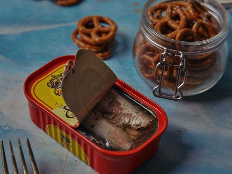 孔雀的故事；乌鸦和孔雀的故事