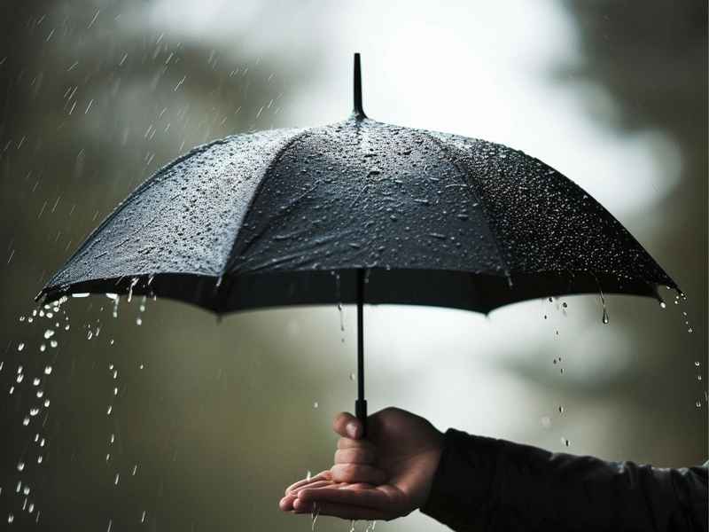 雨中的故事小视频(雨中的故事小视频完整版) 雨中的故事小视频(雨中的故事小视频完整版)