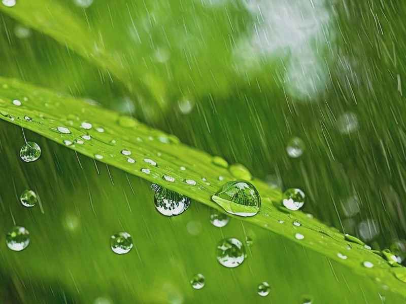 小雨滴的故事作文300字、小雨滴的故事作文300字左右
