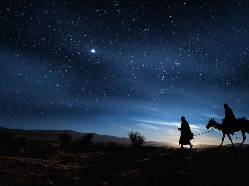 星星的故事电视剧全集免费观看、星星的故乡电视剧全集免费观看 星星的故事电视剧全集免费观看、星星的故乡电视剧全集免费观看