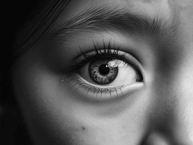 眼睛的故事幼儿;眼睛的故事幼儿园 眼睛的故事幼儿;眼睛的故事幼儿园